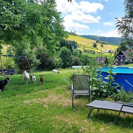 Κατάλυμα σε φάρμα Unterer Gurethshof *