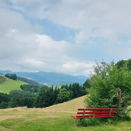 Κατάλυμα σε φάρμα Unterer Gurethshof *