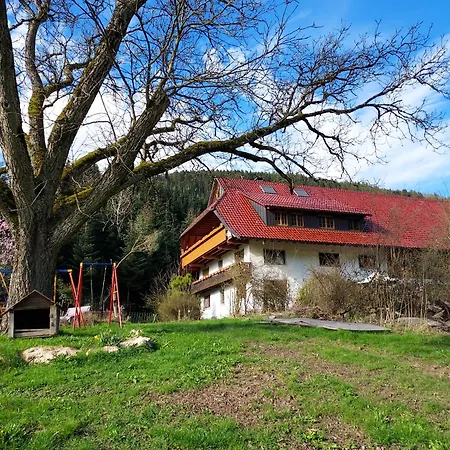 Çiftlik konaklama Unterer Gurethshof Zell am Harmersbach