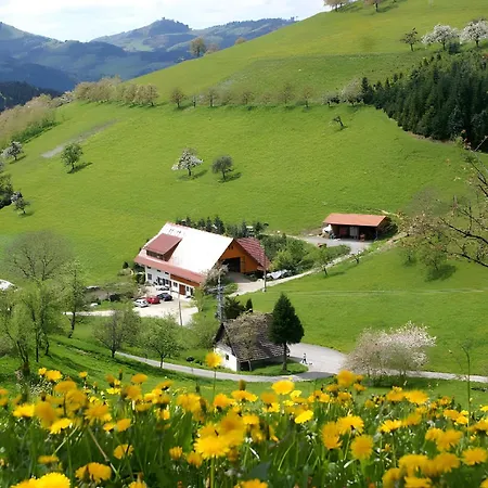 古里索夫底层公寓 *