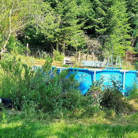 古里索夫底层公寓 泽尔阿哈莫斯巴赫