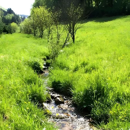 Unterer Gurethshof Κατάλυμα σε φάρμα *