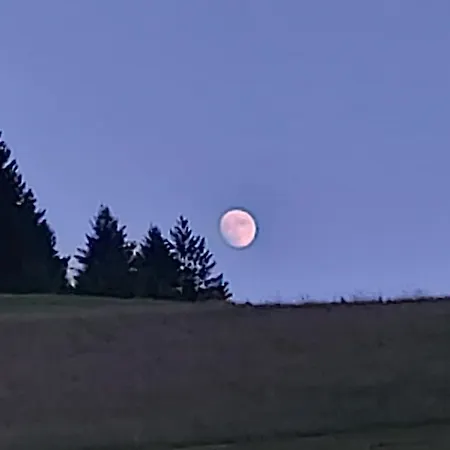 Unterer Gurethshof * Zell am Harmersbach