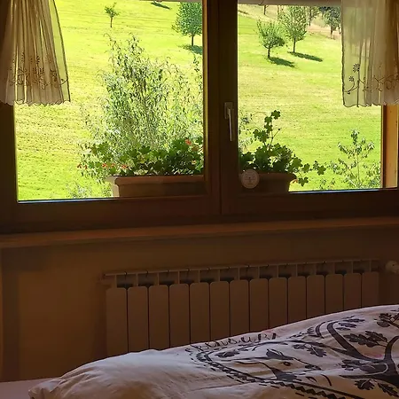 Çiftlik konaklama Unterer Gurethshof *