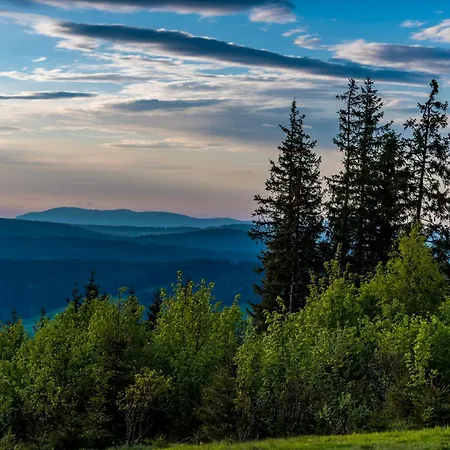 古里索夫底层公寓 农家乐