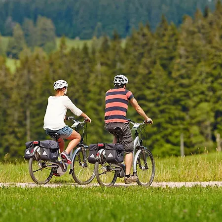 Unterer Gurethshof Çiftlik konaklama Zell am Harmersbach