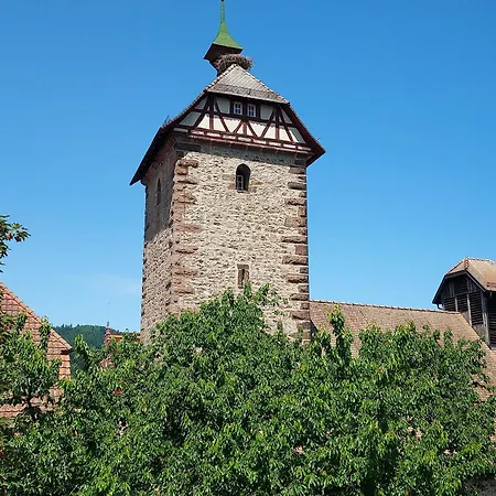 Unterer Gurethshof Κατάλυμα σε φάρμα Zell am Harmersbach