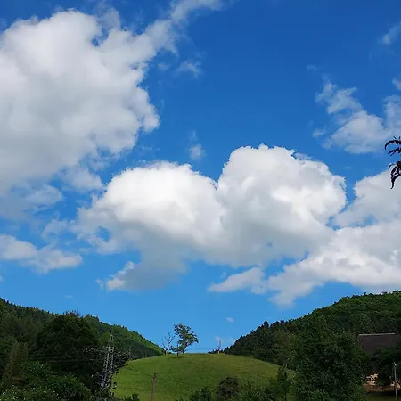 Unterer Gurethshof Gospodarstwo agroturystyczne Zell am Harmersbach