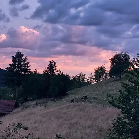 Gospodarstwo agroturystyczne Unterer Gurethshof Zell am Harmersbach