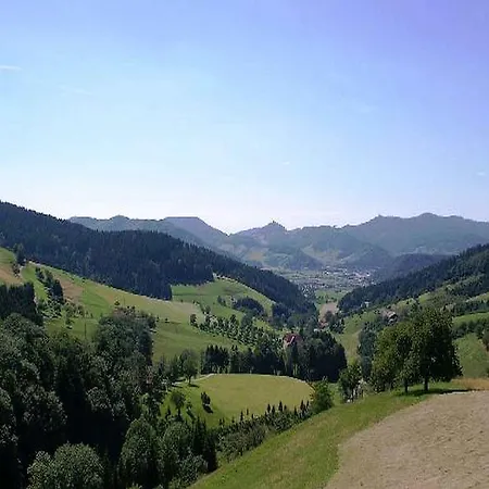 Apartment Unterer Gurethshof Zell am Harmersbach