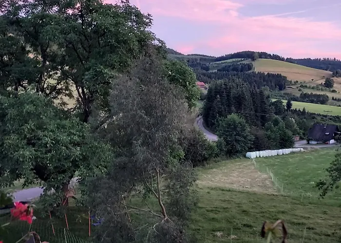 Unterer Gurethshof Gospodarstwo agroturystyczne Zell am Harmersbach