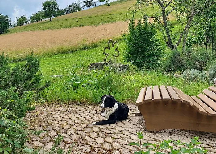 Unterer Gurethshof Gospodarstwo agroturystyczne *