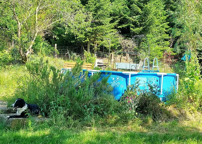 Unterer Gurethshof Zell am Harmersbach