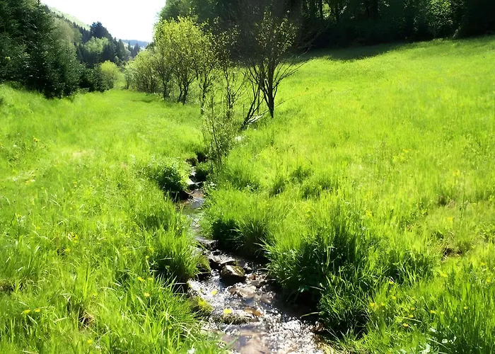 Unterer Gurethshof Gospodarstwo agroturystyczne *