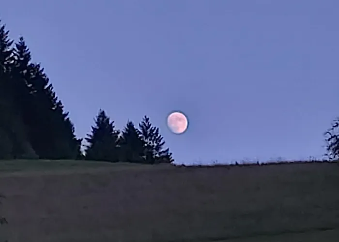 Unterer Gurethshof * Zell am Harmersbach